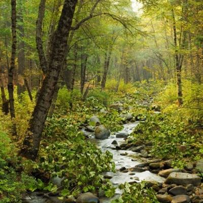 bat365官方网页版