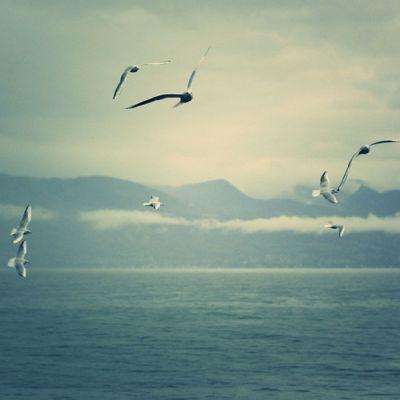 BET365正版唯一官网绿色