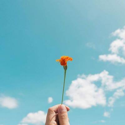 江南平台app下载安装手机app下载