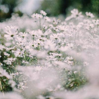 pg电子下载网址