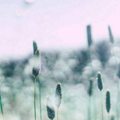 im电竞官方官网手机app下载